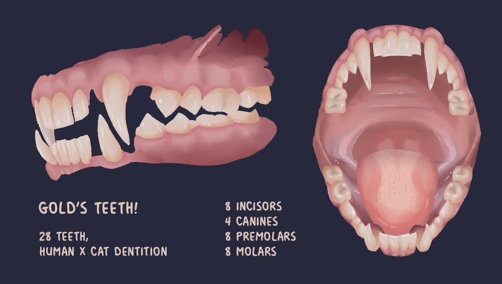 Image of Gold's teeth from various angles.