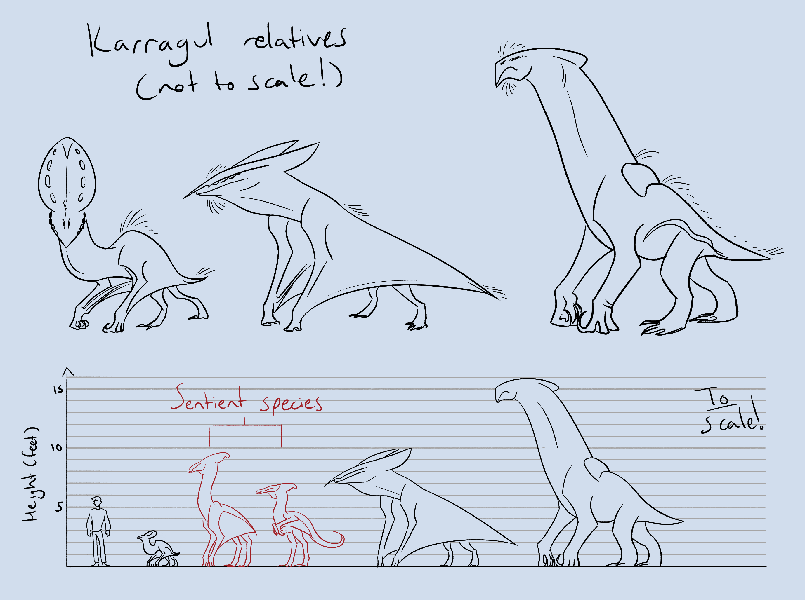 A size comparison of some common species within the order.