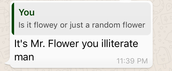 WhatsApp screenshot - It's Mr. Flower you illiterate man